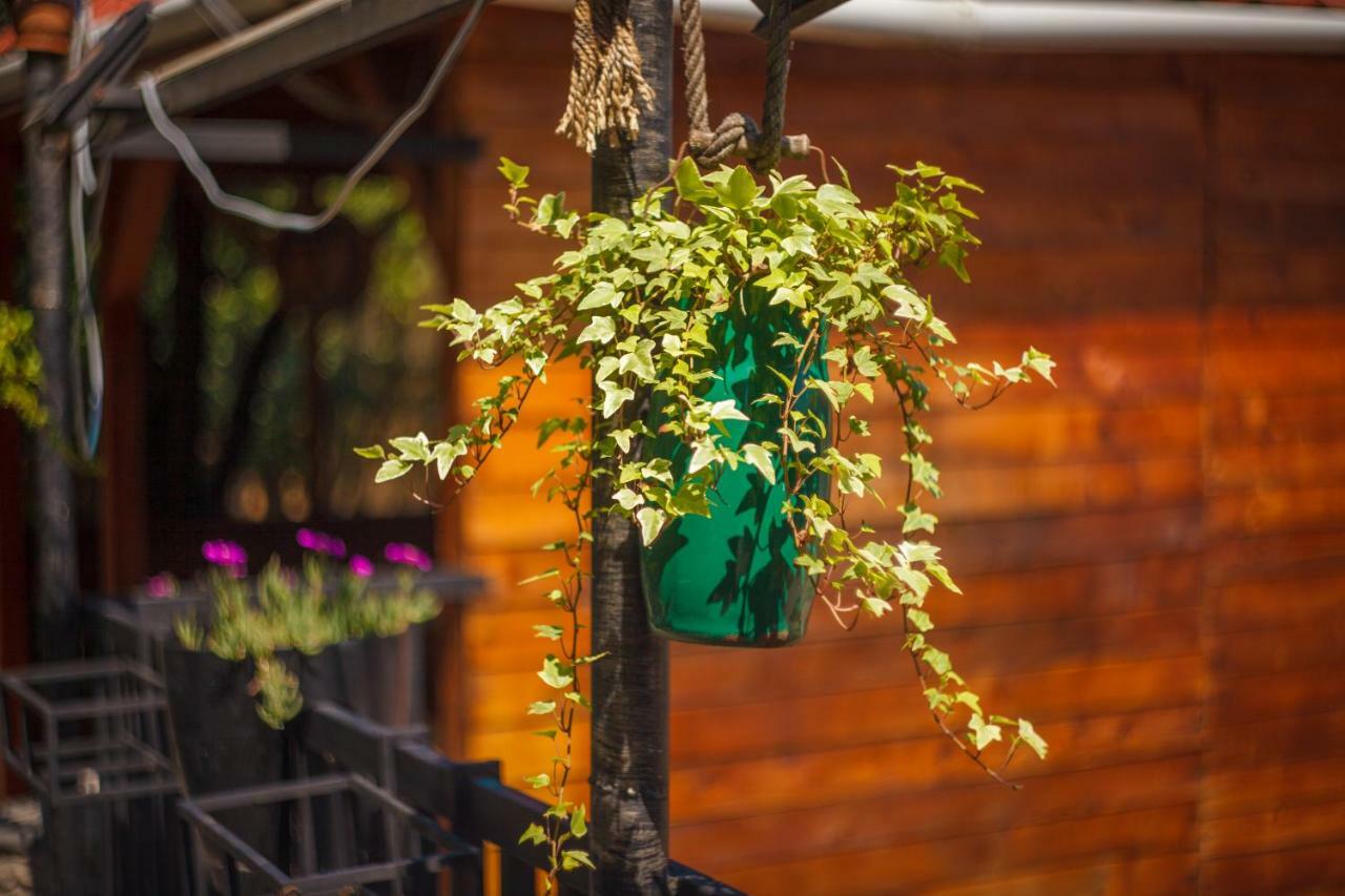 Hotel Almi Achalciche Zewnętrze zdjęcie